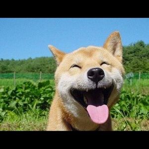 Meet your Posher, Jon